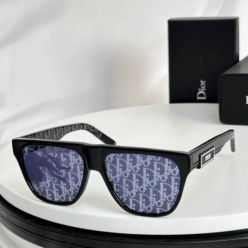 DIOR Sunglasses 493